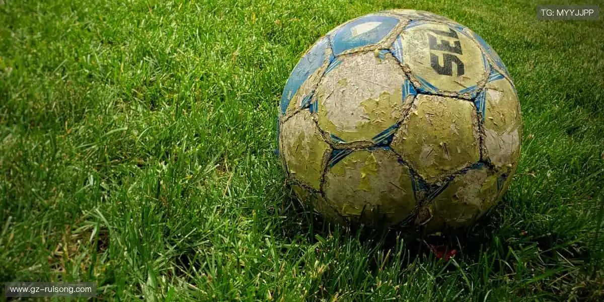 📺实时直击，精彩无延迟！体育直播官网，让你与赛场零距离！🏀💻